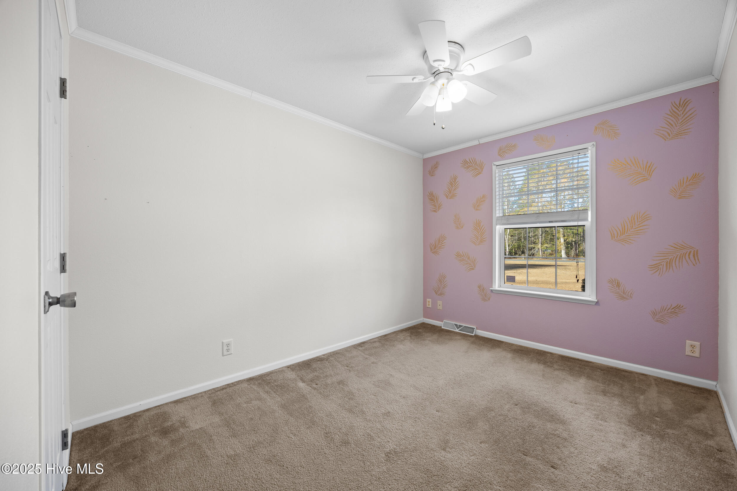 Currie, North Carolina 28435, United States, 3 Bedrooms Bedrooms, ,2 BathroomsBathrooms,Residential,Active,256124