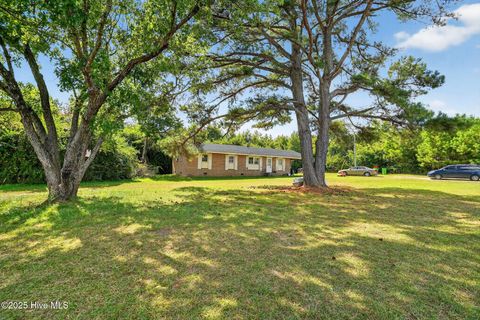 Homes For Sale - 745 Tabron School Road<br/> Halifax County, Hollister, NC 27844