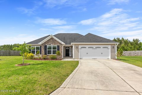 Photo of 321 Old Snap Dragon Court, Jacksonville, NC 28546 (MLS # 100573504)