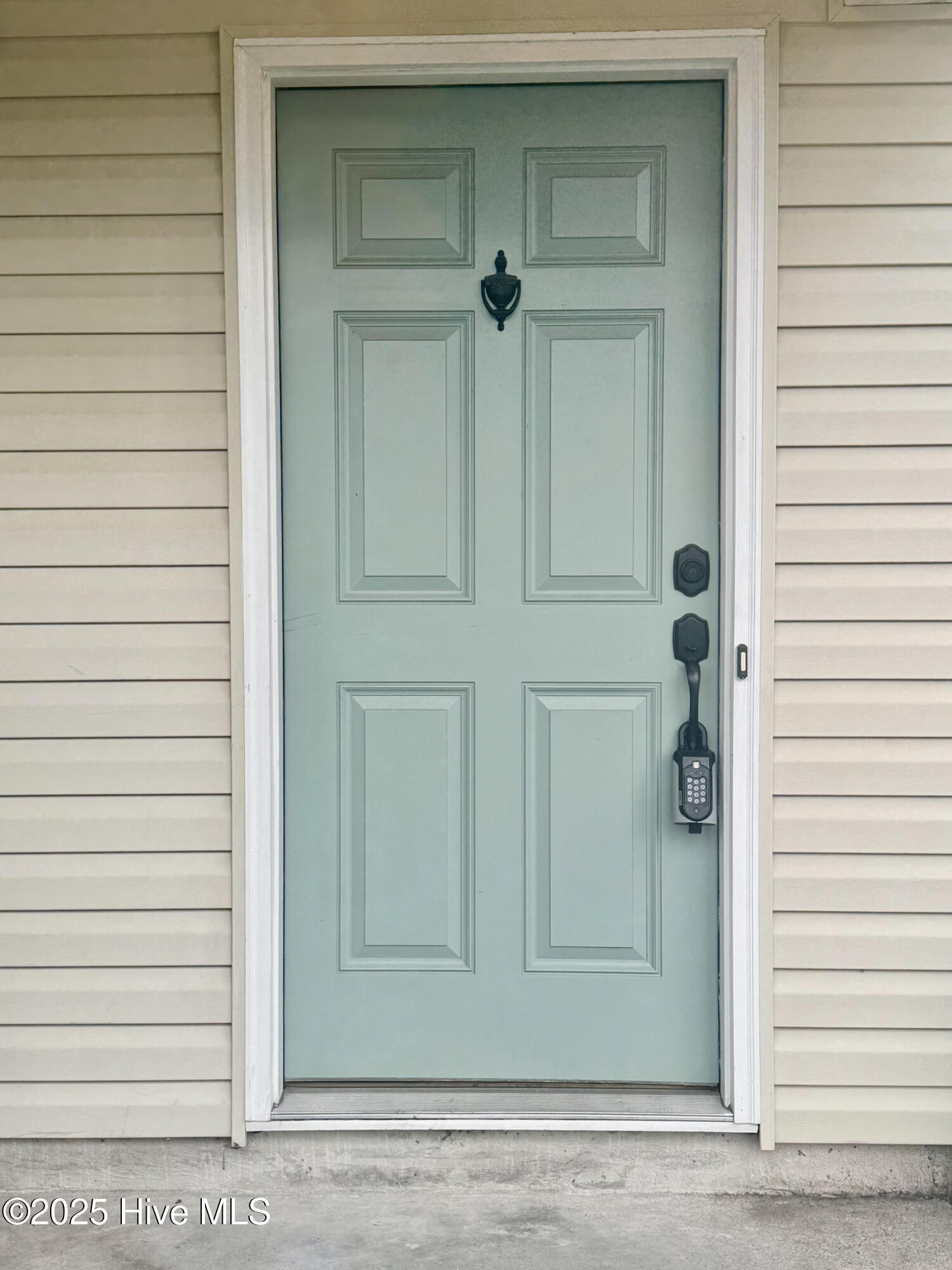 206 Red Carnation Drive