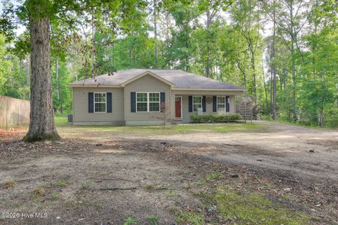 Photo of 6107 Veterans Drive, Harlem, GA 30814 (MLS # 100573661)