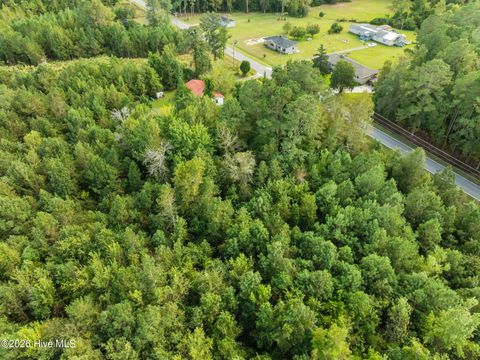 Tiny photo for Tbd Gurganus Road, Maple Hill, NC 28454 (MLS # 100547729)