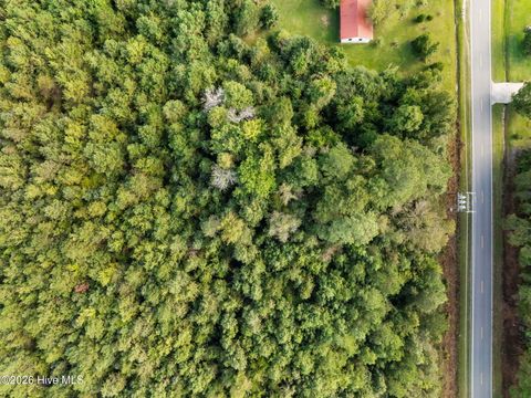 Tiny photo for Tbd Gurganus Road, Maple Hill, NC 28454 (MLS # 100547729)