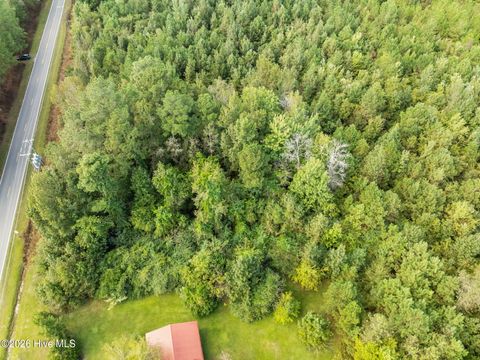 Tiny photo for Tbd Gurganus Road, Maple Hill, NC 28454 (MLS # 100547729)