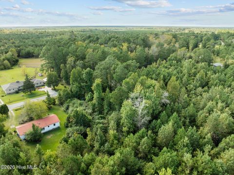 Tiny photo for Tbd Gurganus Road, Maple Hill, NC 28454 (MLS # 100547729)