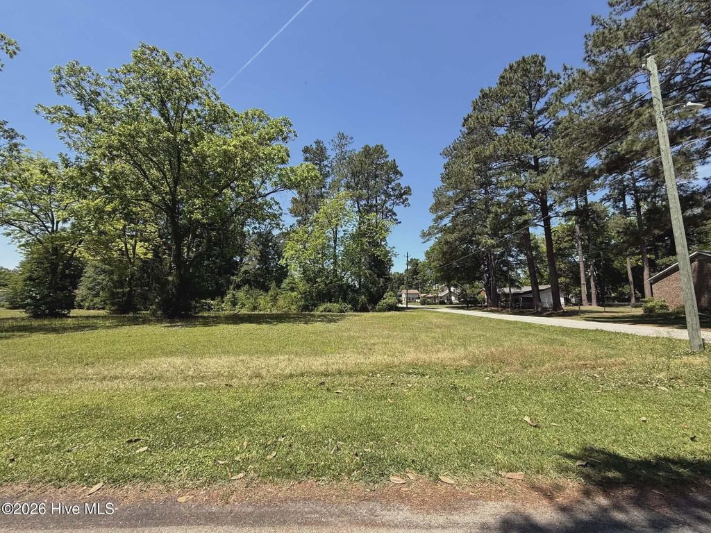 Photo of 98 Near 210 E 5th Avenue, Chadbourn, NC 28431 (MLS # 100572102)