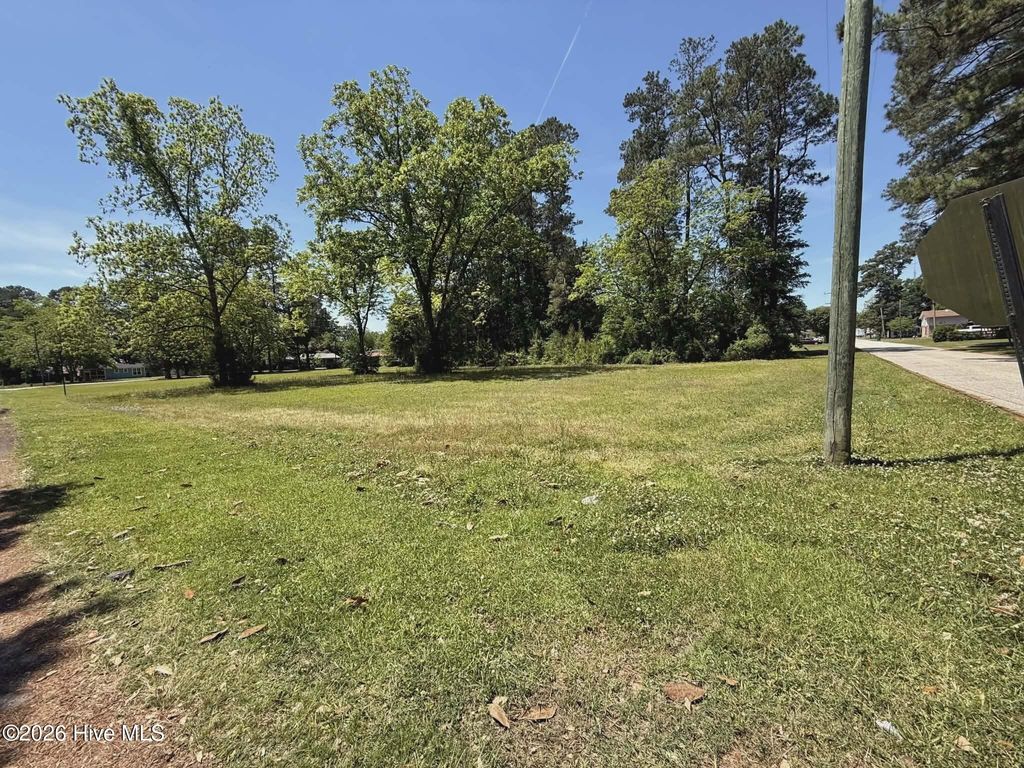 Photo of 98 Near 210 E 5th Avenue, Chadbourn, NC 28431 (MLS # 100572102)