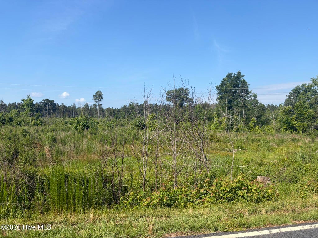 Photo of Tbd Everett Chappell Road, Ellerbe, NC 28338 (MLS # 100585772)