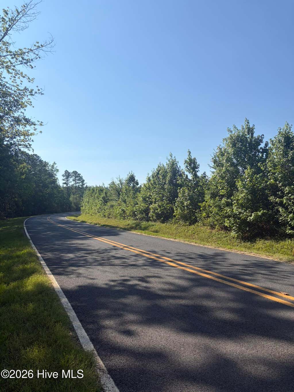 Photo of Tbd Everett Chappell Road, Ellerbe, NC 28338 (MLS # 100585772)