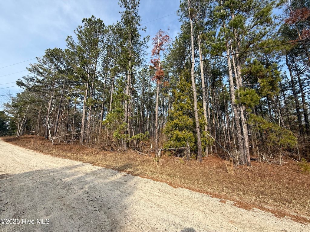 Photo of 165 Wayne Lane, Hephzibah, GA 30815 (MLS # 100573900)