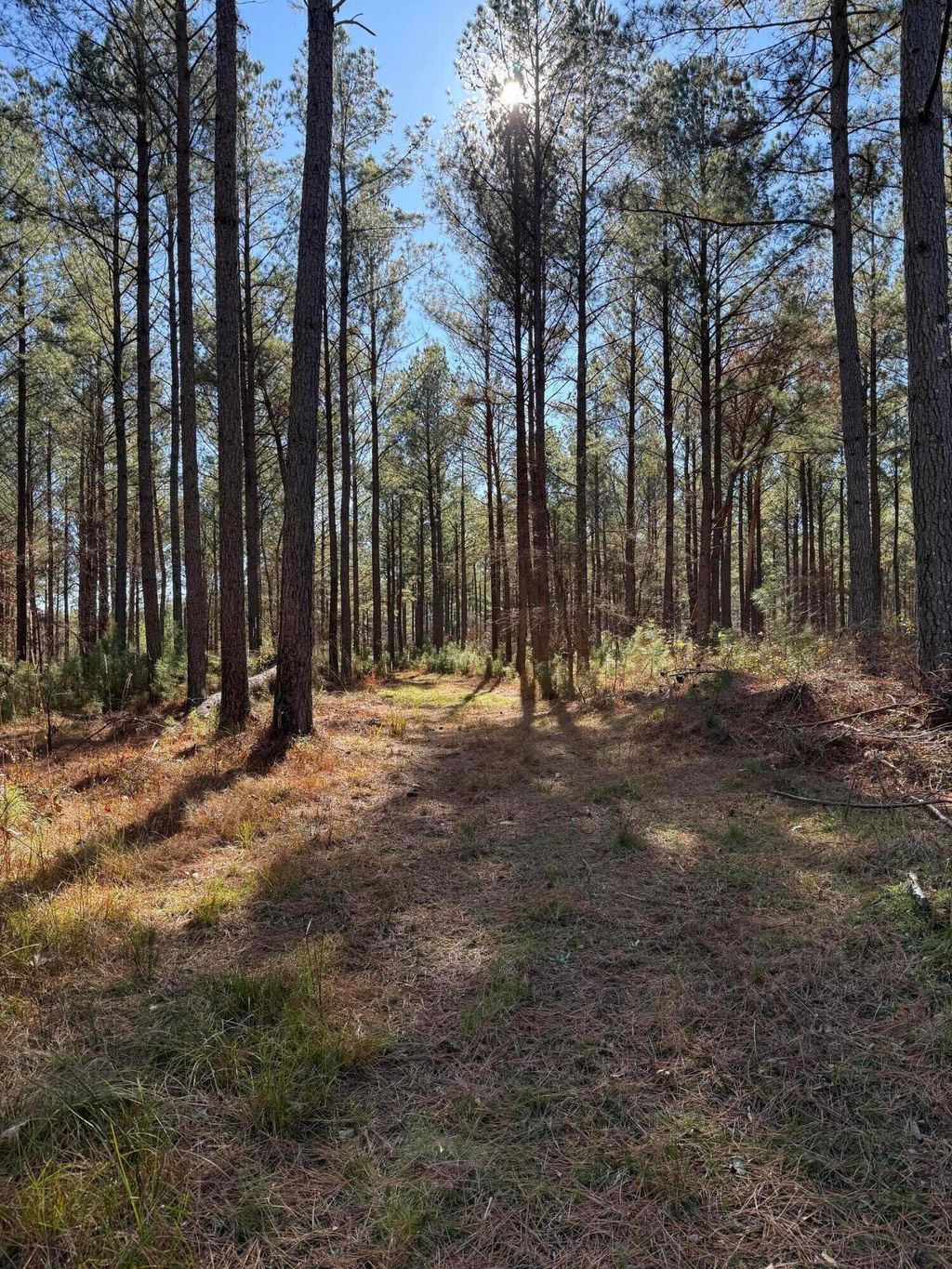 Photo of 0 L R White Road, Plum Branch, SC 29845 (MLS # 551672)