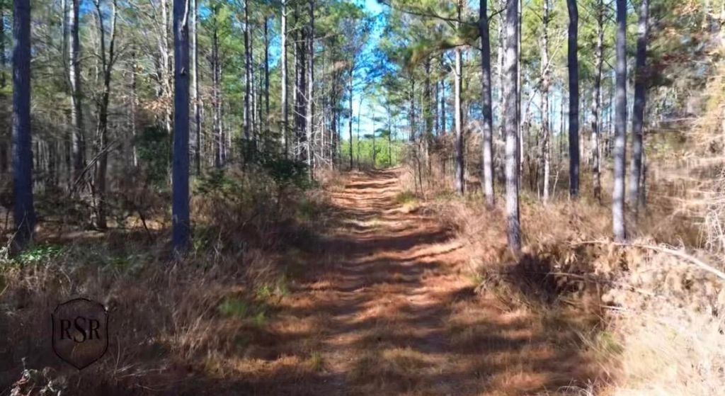 Photo of 0 L R White Road, Plum Branch, SC 29845 (MLS # 551672)