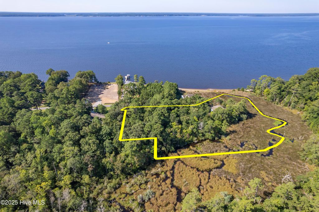 Photo of 452 Indian Bluff Drive, Arapahoe, NC 28510 (MLS # 100561812)