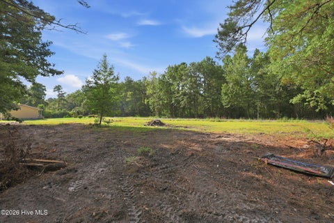 Tiny photo for 1140 New Road, Burgaw, NC 28425 (MLS # 100598029)
