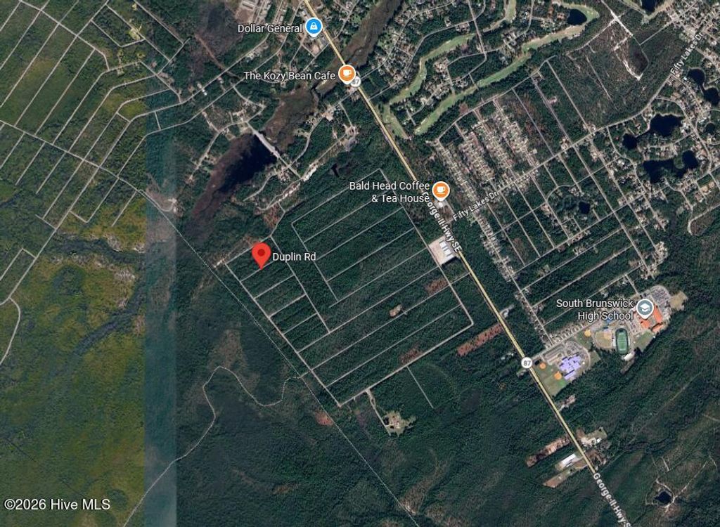 Photo of 0 Duplin Road, Boiling Spring Lakes, NC 28461 (MLS # 100556979)