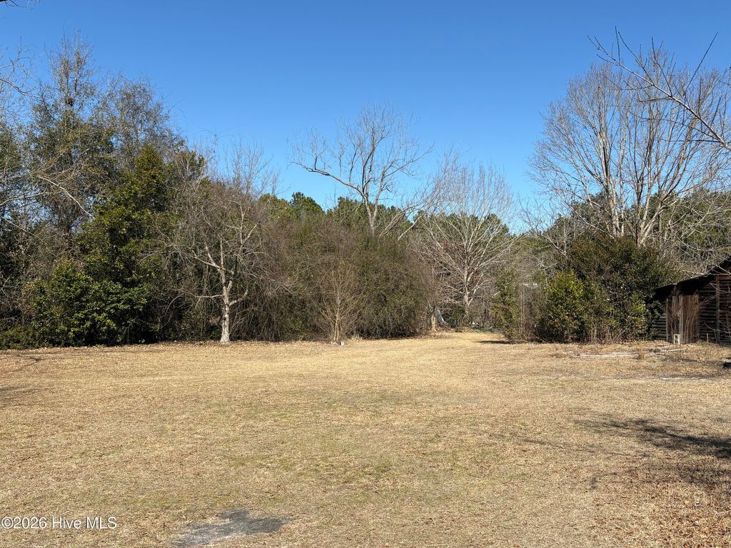 Photo of 8230 Tomahawk Highway, Harrells, NC 28444 (MLS # 100559231)