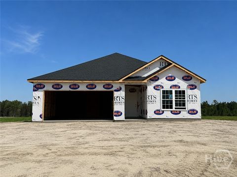 Homes For Sale - 834 Doctor's Creek Road<br/> Long County, Ludowici, GA 31316