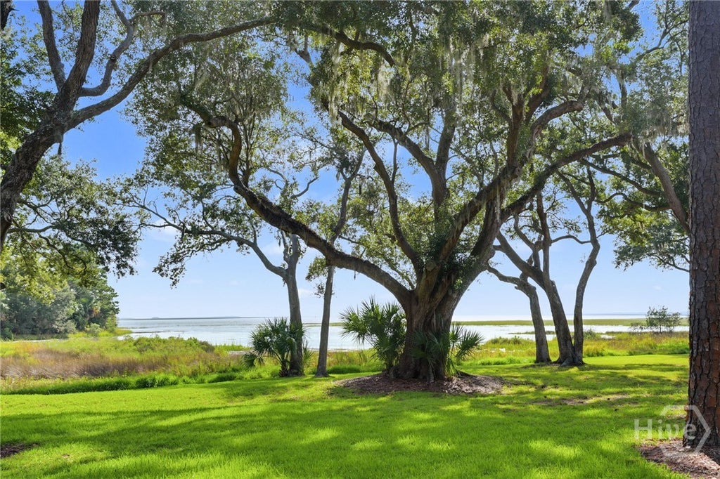 Photo of 1 Tapestry Lane, Savannah, GA 31411 (MLS # SA365641)