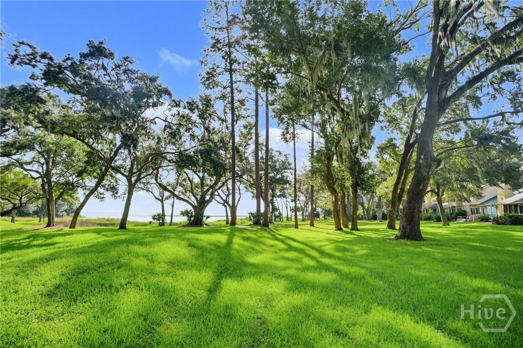 Photo of 1 Tapestry Lane, Savannah, GA 31411 (MLS # SA365641)