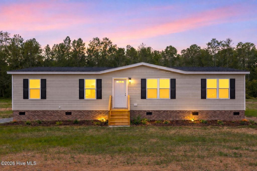 Photo of 1755 Lynch Road, Hollister, NC 27844 (MLS # 100566221)