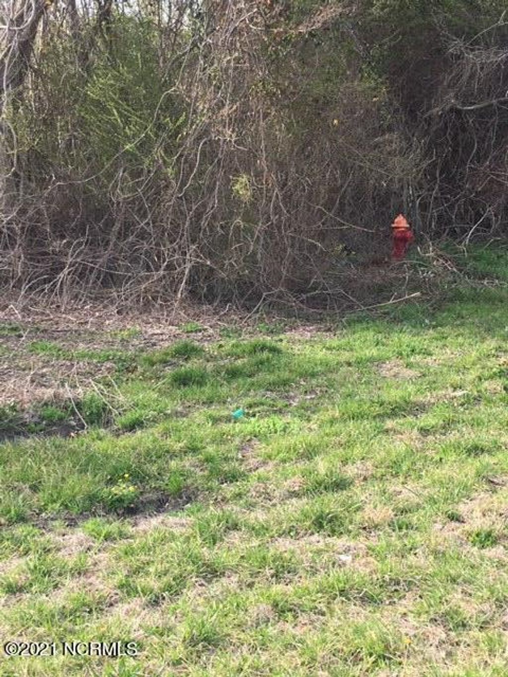 Photo of Tbd Us 17 Highway, Maysville, NC 28555 (MLS # 100443511)