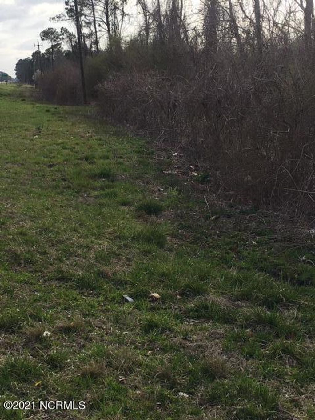 Photo of Tbd Us 17 Highway, Maysville, NC 28555 (MLS # 100443511)