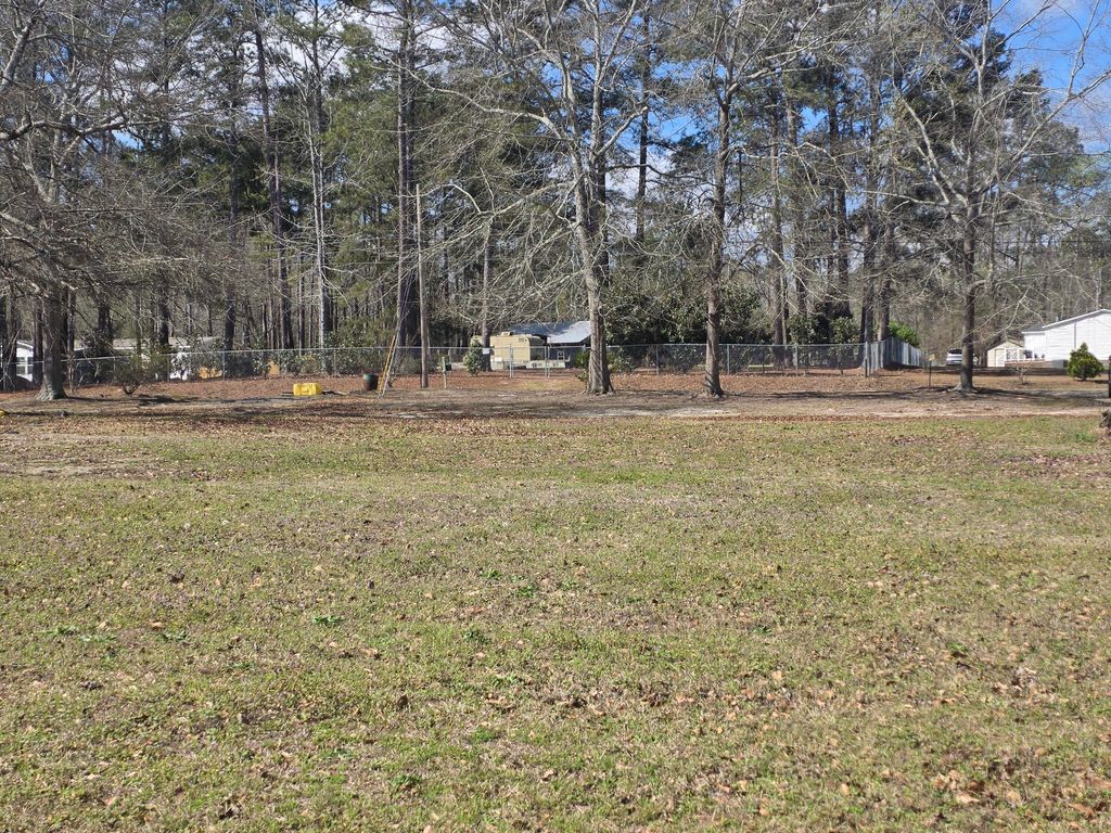 Photo of 3576 Headstall Lane, Dearing, GA 30808 (MLS # 553130)