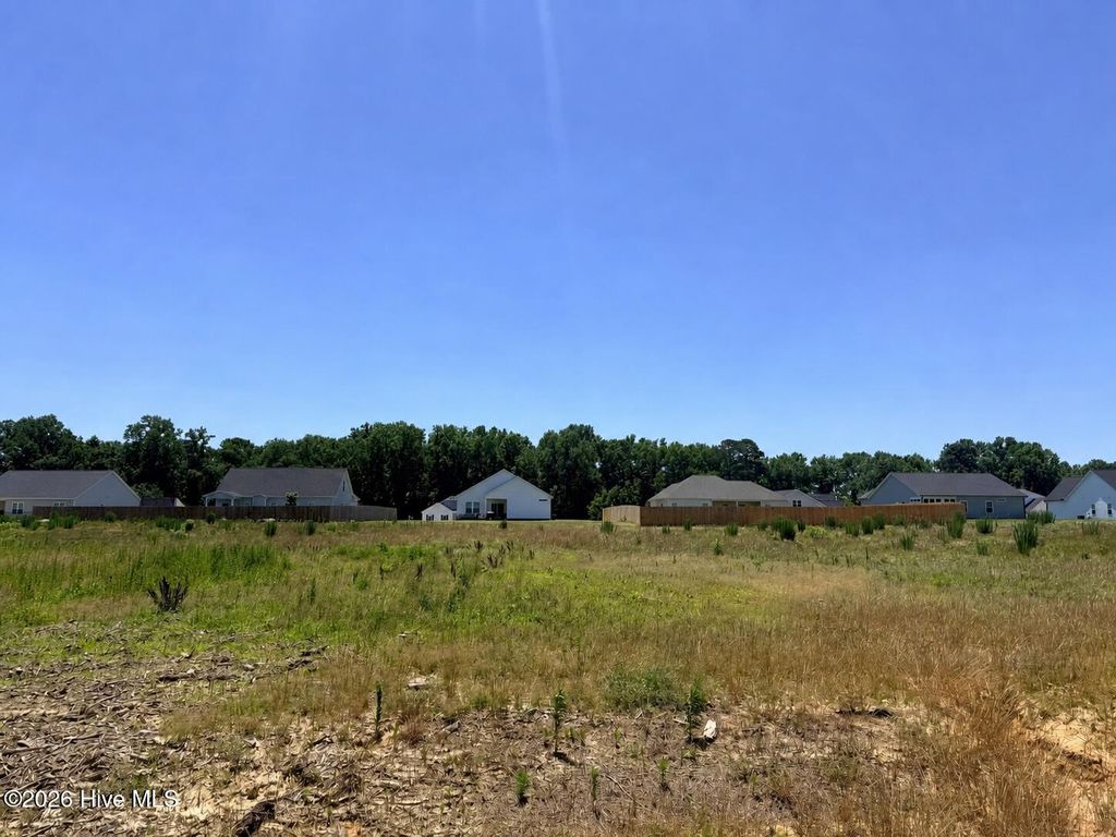 Photo of 200 Jackson Ridge Way, Pikeville, NC 27863 (MLS # 100587999)