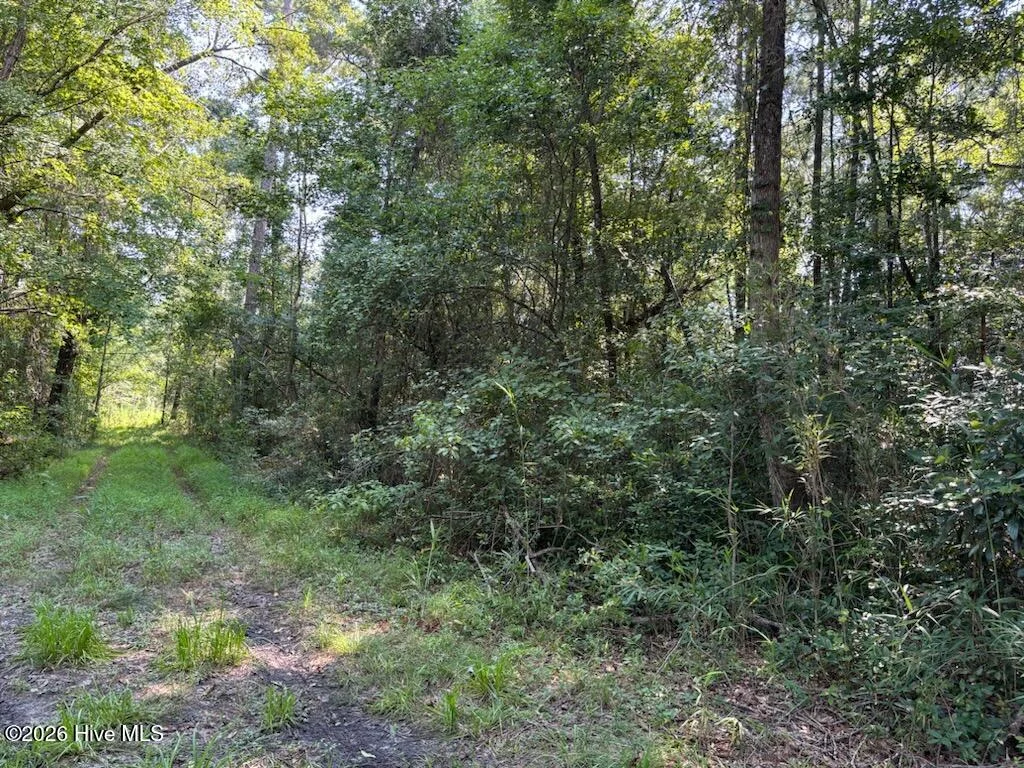 Lot 6 E Wilmington Street