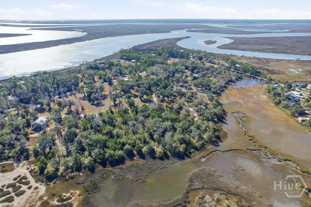 Photo of 27 Bermuda Bluff Lane Road, Midway, GA 31320 (MLS # SA349894)