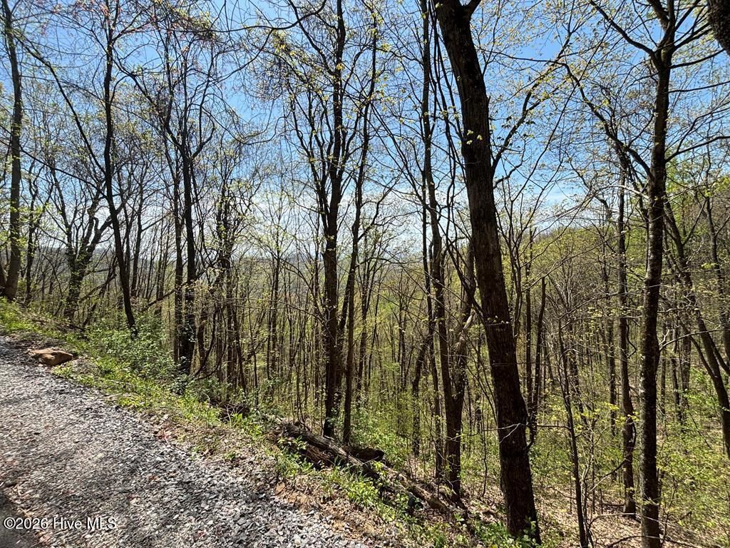 Photo of 4 Outlook Road, Murphy, NC 28906 (MLS # 100581492)