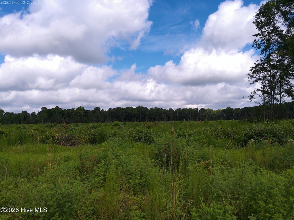 Photo of Tbd Haywood Smith Road, Hertford, NC 27944 (MLS # 100594395)