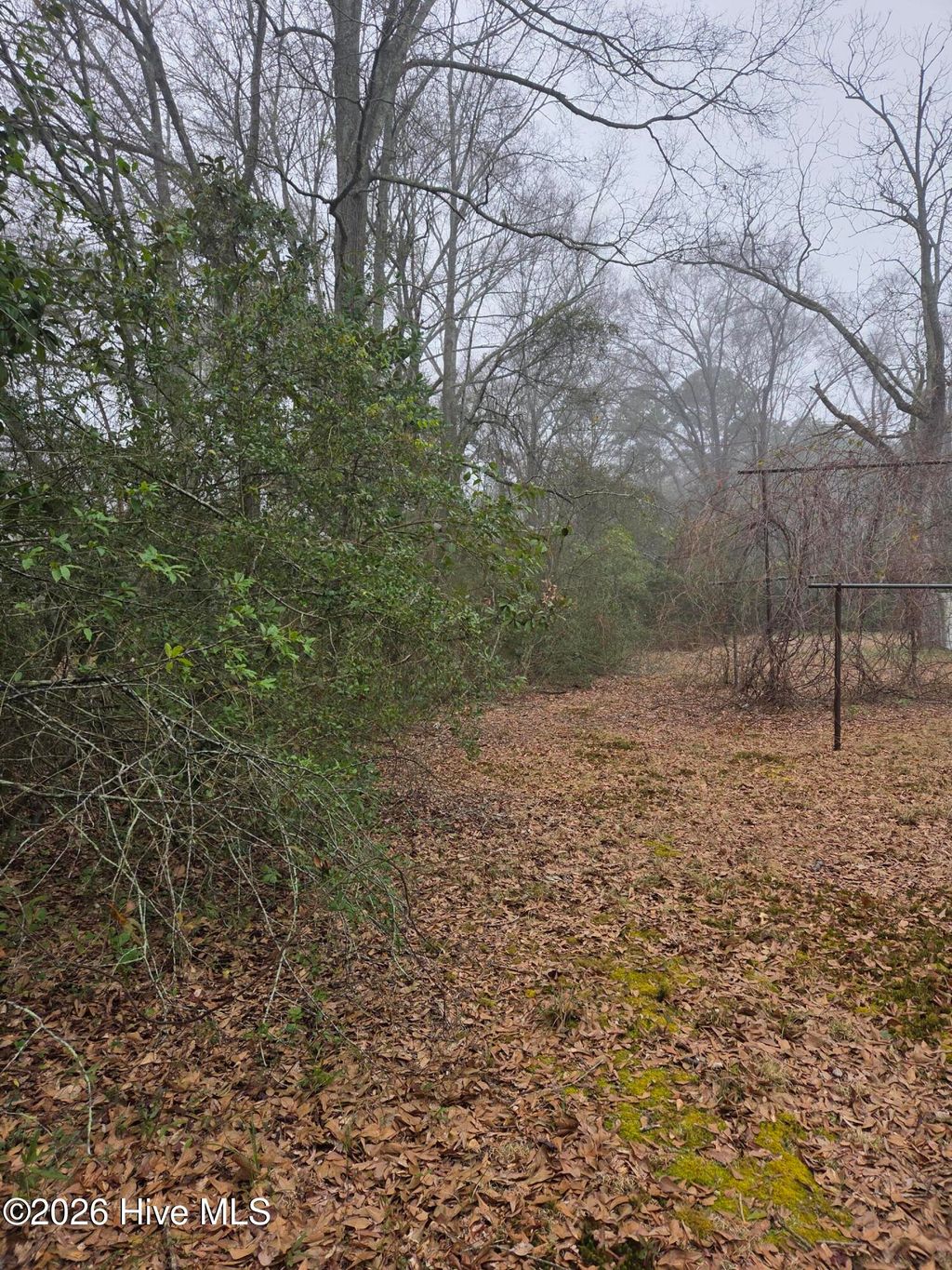 Photo of 526 S Caroline St, Rockingham, NC 28379 (MLS # 100558211)