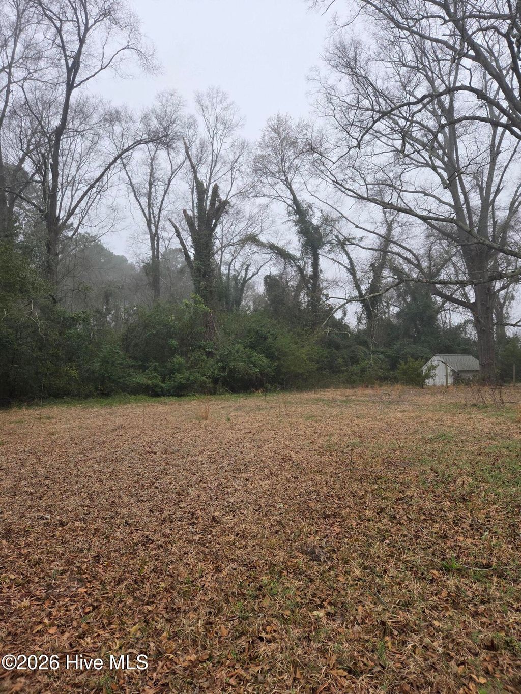 Photo of 526 S Caroline St, Rockingham, NC 28379 (MLS # 100558211)