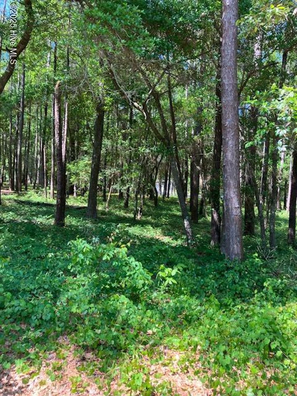 Photo of 3287 Mooring Drive SE, Bolivia, NC 28422 (MLS # 100504692)