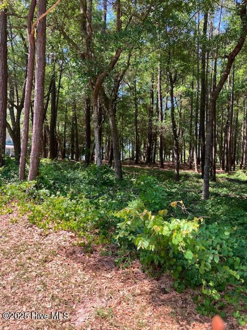 Photo of 3287 Mooring Drive SE, Bolivia, NC 28422 (MLS # 100504692)