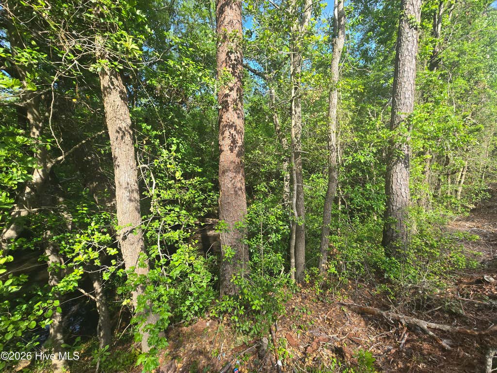 Photo of Tbd Cabins Creek Road, Vass, NC 28394 (MLS # 100586954)