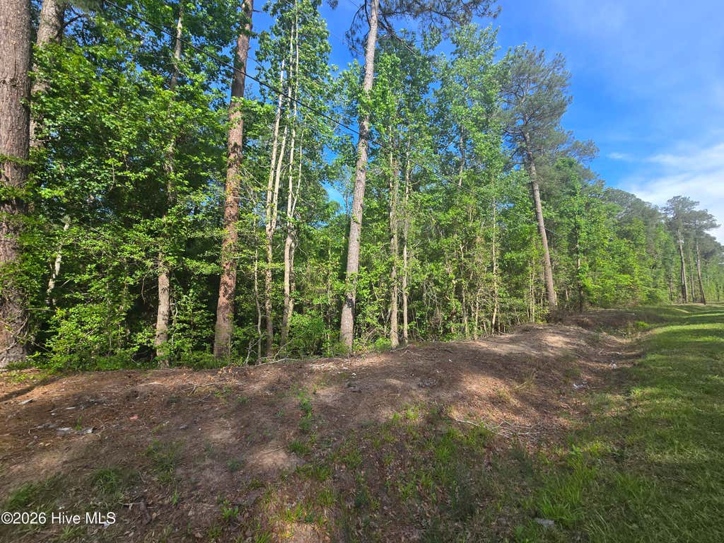 Photo of Tbd Cabins Creek Road, Vass, NC 28394 (MLS # 100586954)