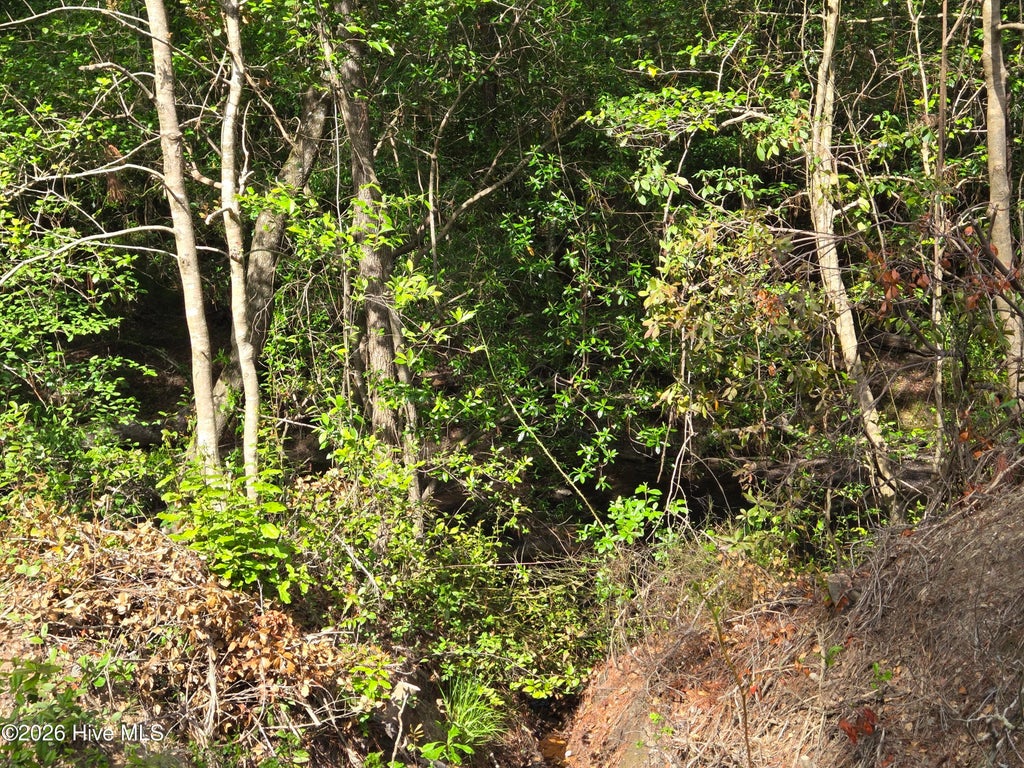 Photo of Tbd Cabins Creek Road, Vass, NC 28394 (MLS # 100586954)