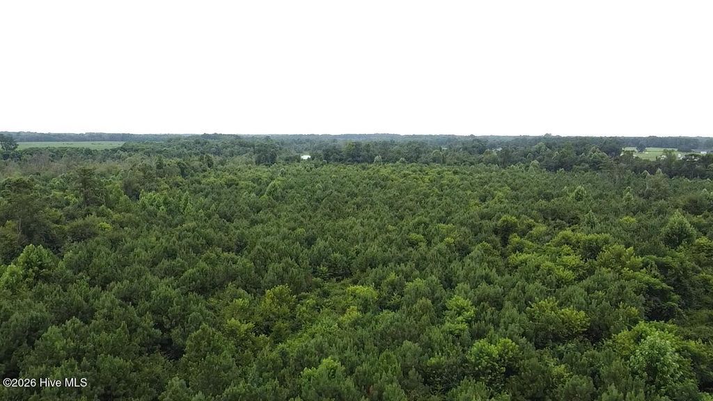 Photo of 4900 Rogers Mill Road, Rose Hill, NC 28458 (MLS # 100553612)