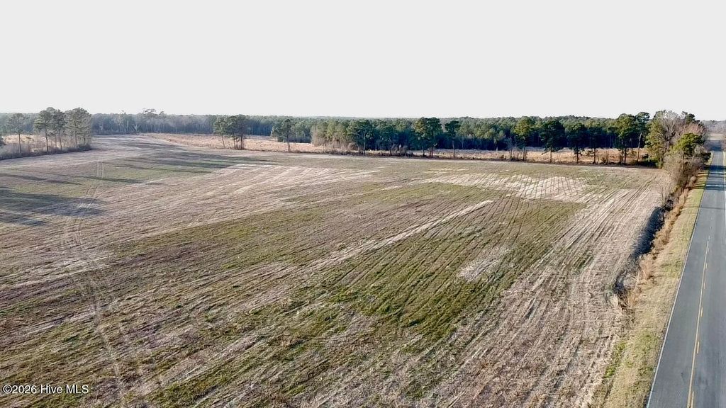 Photo of 4900 Rogers Mill Road, Rose Hill, NC 28458 (MLS # 100553612)