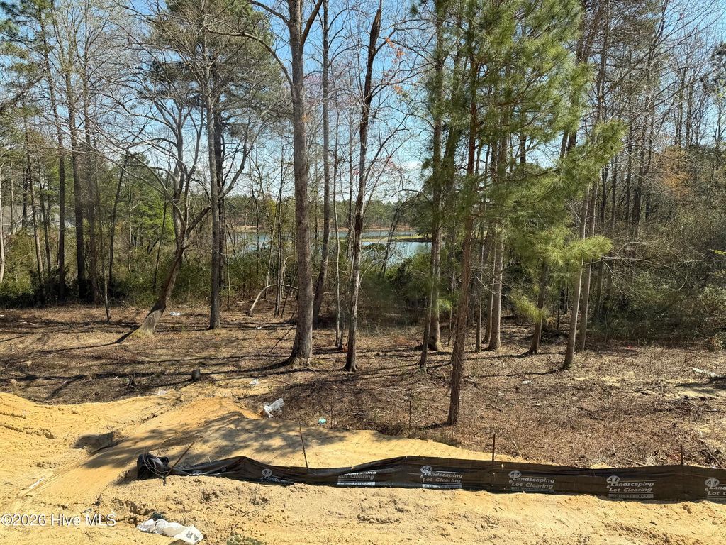 Photo of 464 Redwater Trail, Aberdeen, NC 28315 (MLS # 100563441)