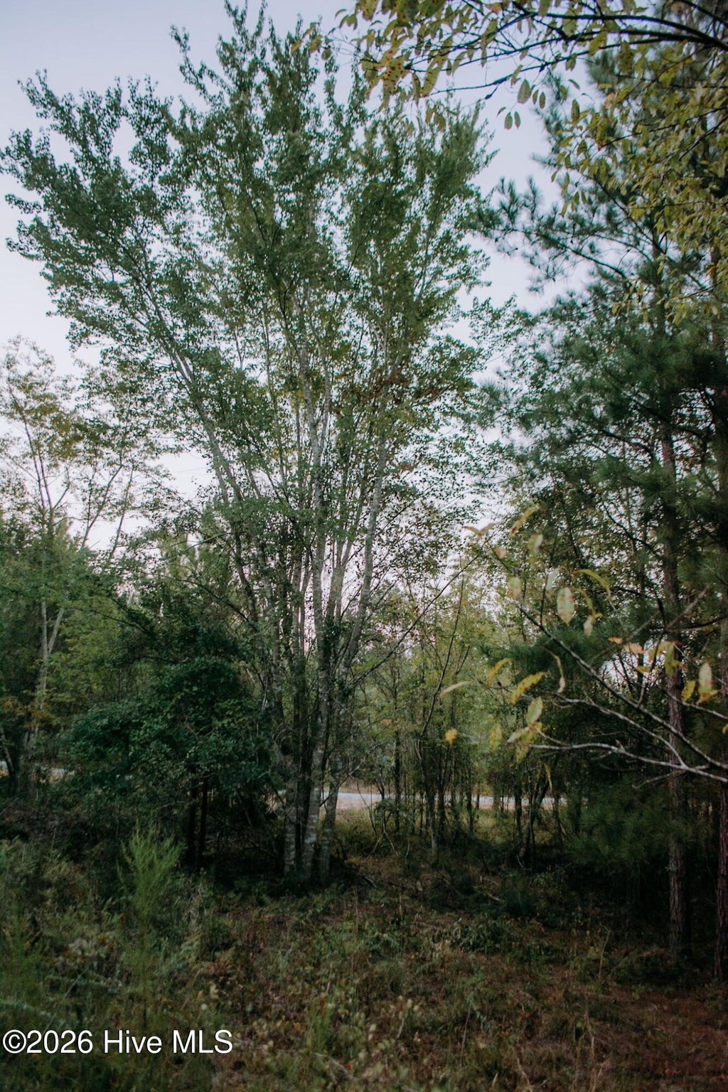 Photo of 3 Nighthawk Loop, Aberdeen, NC 28315 (MLS # 100605537)