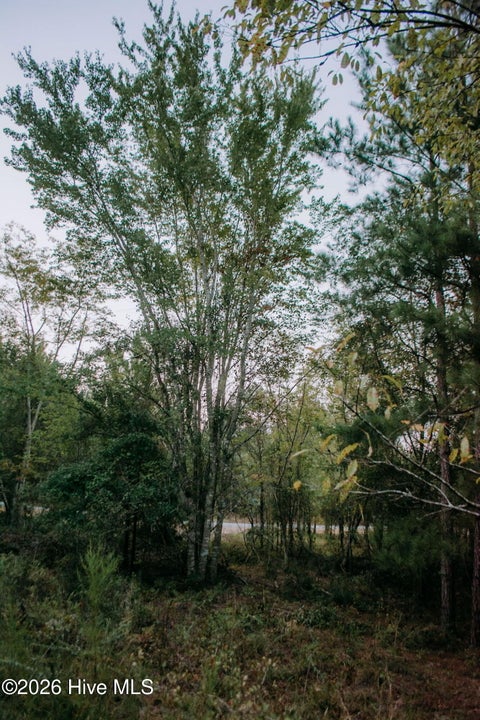 Vacant Land For Sale - LOT 3-TBD Nighthawk Loop<br/> Aberdeen, NC 28315