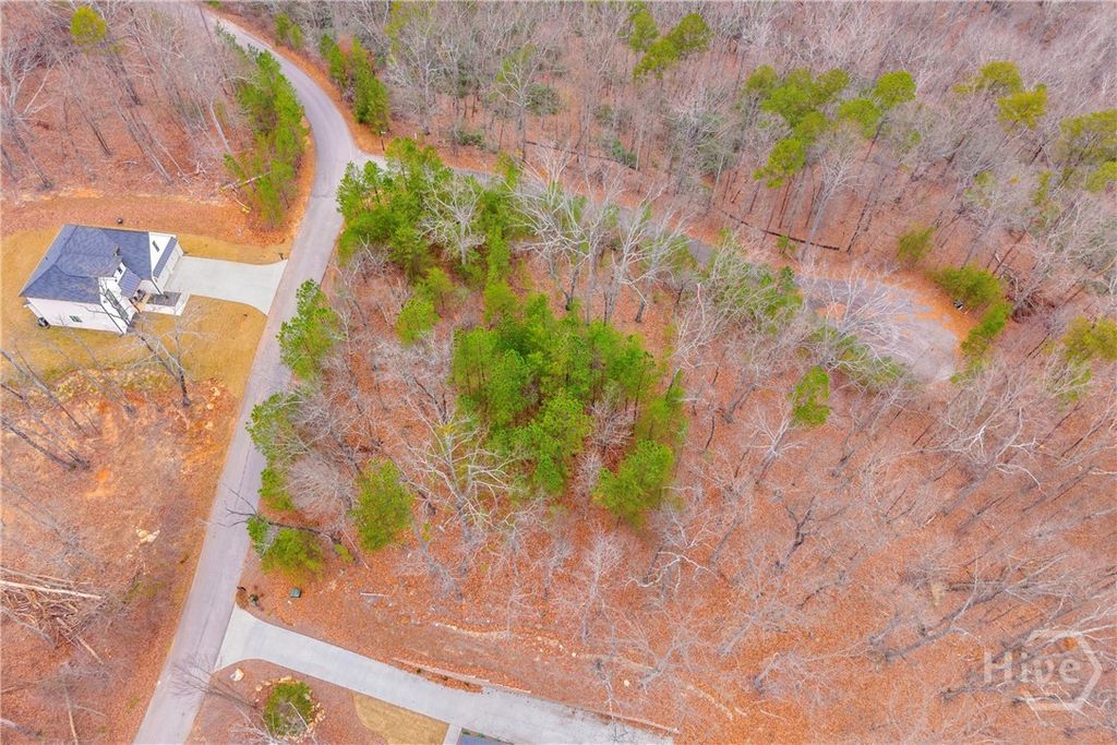 Photo of 0 Planters Pointe Lane, Baldwin, GA 30511 (MLS # CL345937)