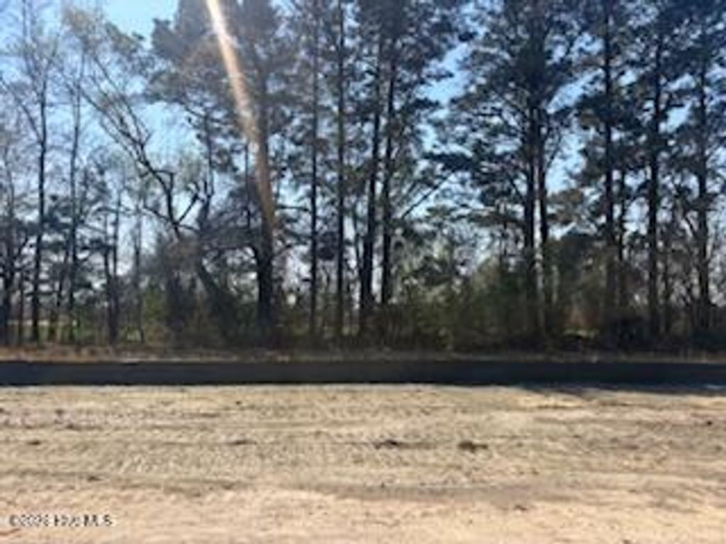 Photo of 294 Eastwood Drive, Wallace, NC 28466 (MLS # 100561838)