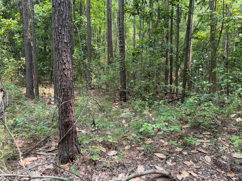 Photo of 1199 Green Springs Road, New Bern, NC 28560 (MLS # 100593032)