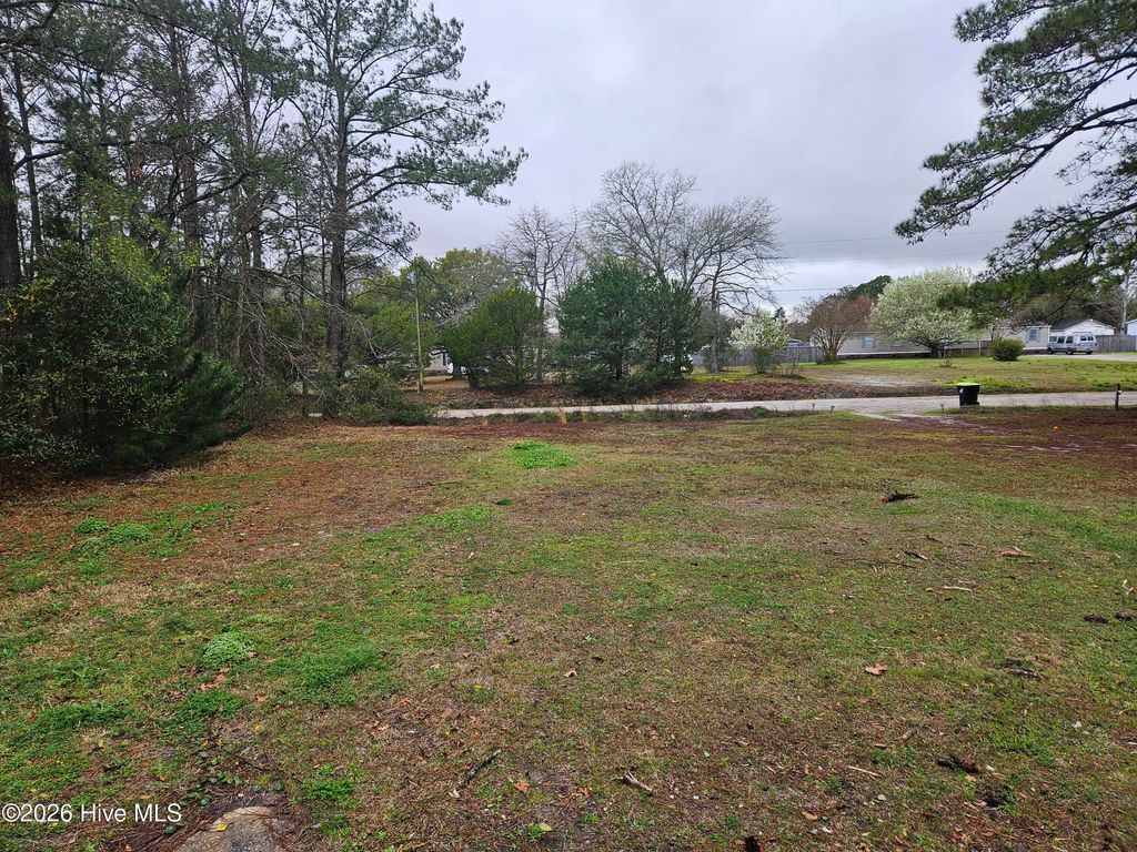 Photo of 1119 Ccc Road, Sneads Ferry, NC 28460 (MLS # 100567830)