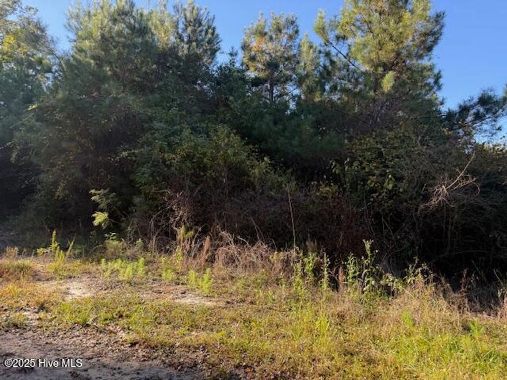 Photo of 0 Knight Way SE, Winnabow, NC 28479 (MLS # 100542829)