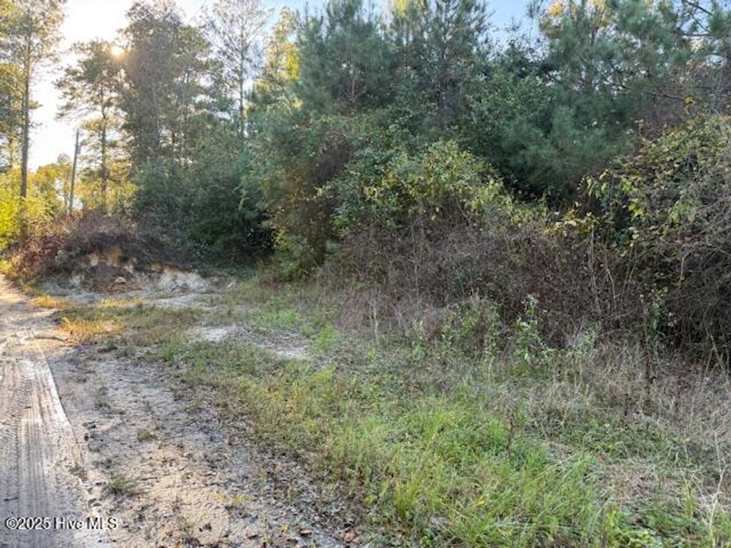 Photo of 0 Knight Way SE, Winnabow, NC 28479 (MLS # 100542829)